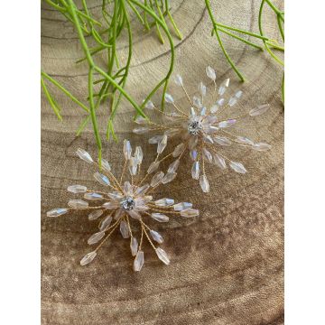 Uhani Shinny Flowers / Shinny FLowers Earrings